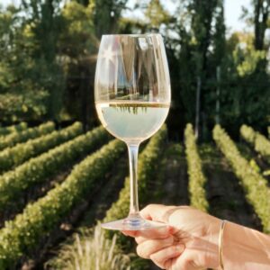 wino Sauvignon Blanc najlepsze na wiosnę