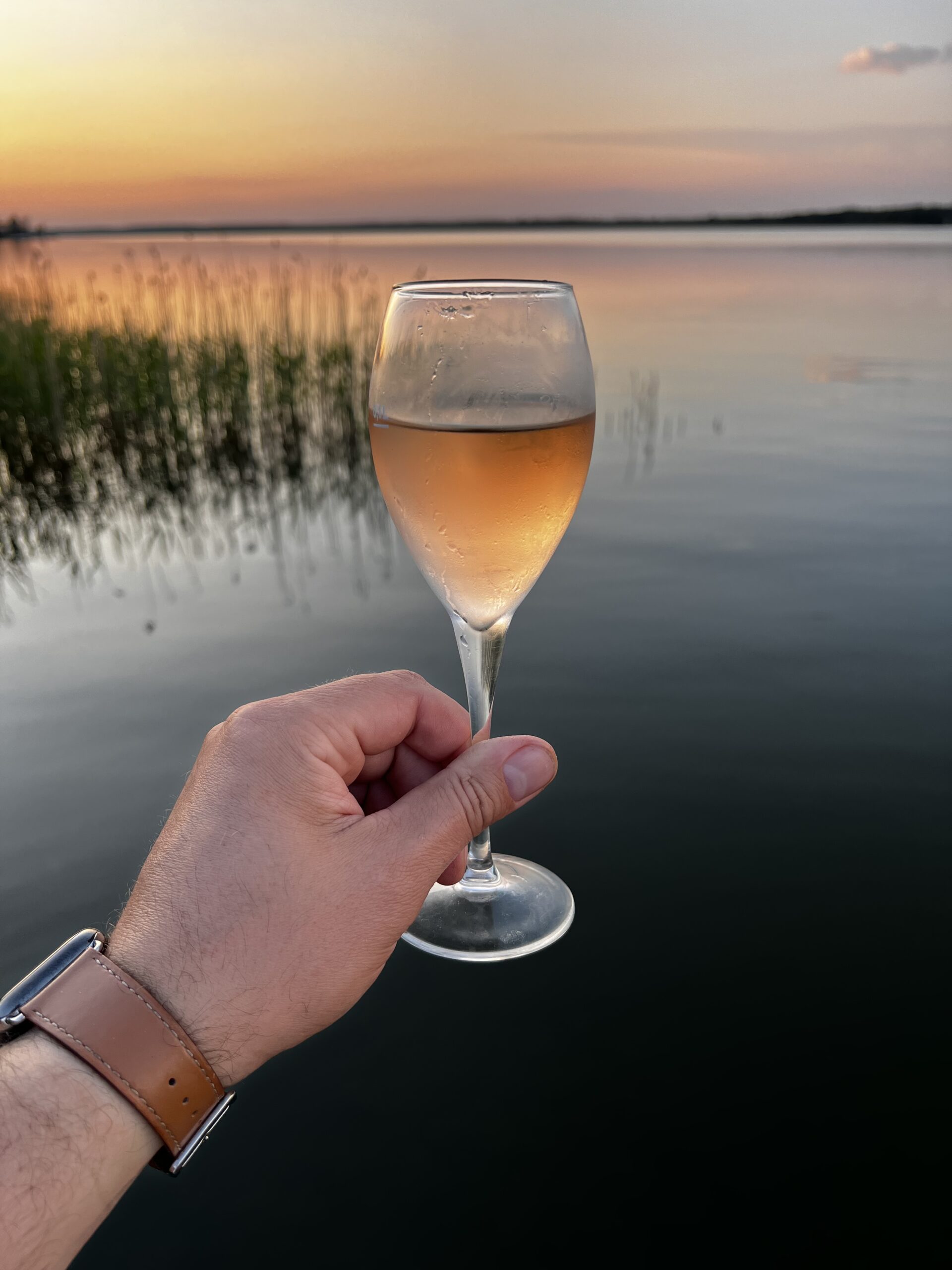 Różowe wino to idealny wybór na letni wieczór z winem