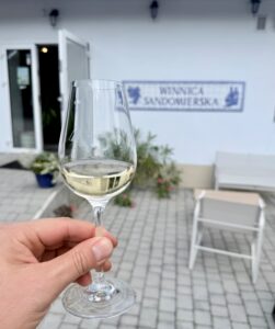 Degustacja Winnica Sandomierska